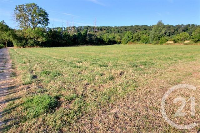 terrain à vendre - 4670.0 m2 - MOREE - 41 - CENTRE - Century 21 Girault Immobilier