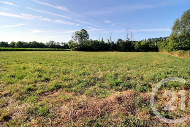 terrain à vendre - 4670.0 m2 - MOREE - 41 - CENTRE - Century 21 Girault Immobilier