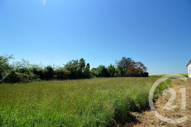 terrain à vendre - 1350.0 m2 - DANZE - 41 - CENTRE - Century 21 Girault Immobilier