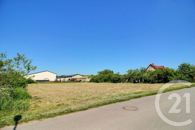 terrain à vendre - 867.0 m2 - VILLIERS SUR LOIR - 41 - CENTRE - Century 21 Girault Immobilier