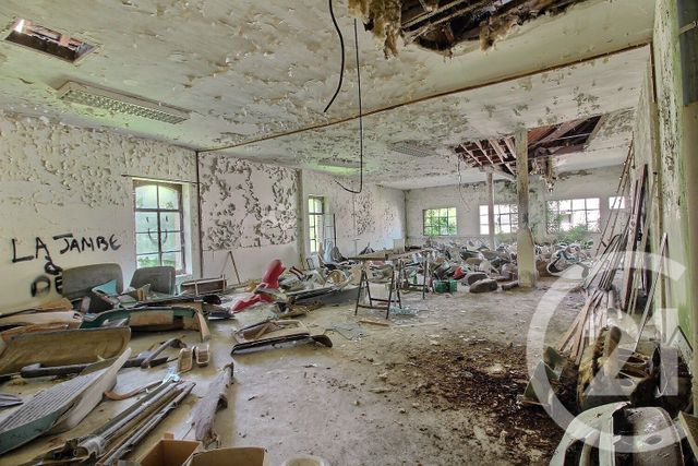 maison à vendre - 22 pièces - 1115.0 m2 - SAVIGNY SUR BRAYE - 41 - CENTRE - Century 21 Girault Immobilier