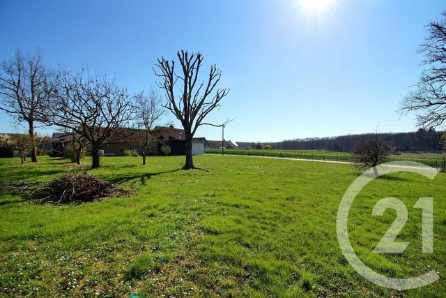 maison à vendre - 2 pièces - 62.22 m2 - LA CHAPELLE ENCHERIE - 41 - CENTRE - Century 21 Girault Immobilier