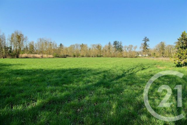 terrain à vendre - 6482.0 m2 - ST OUEN - 41 - CENTRE - Century 21 Girault Immobilier
