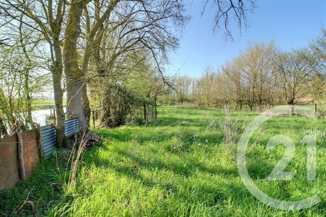 terrain à vendre - 6482.0 m2 - ST OUEN - 41 - CENTRE - Century 21 Girault Immobilier