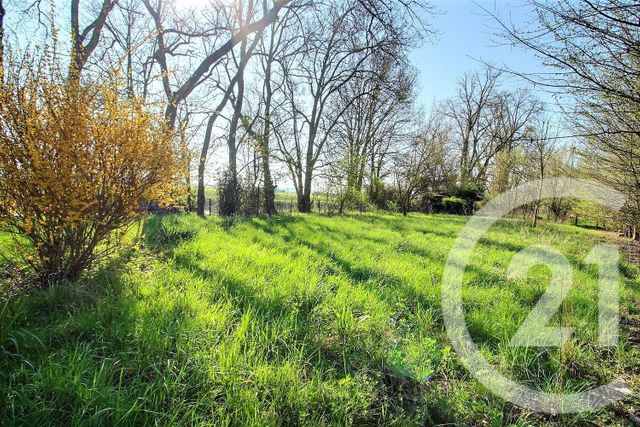 terrain à vendre - 6482.0 m2 - ST OUEN - 41 - CENTRE - Century 21 Girault Immobilier