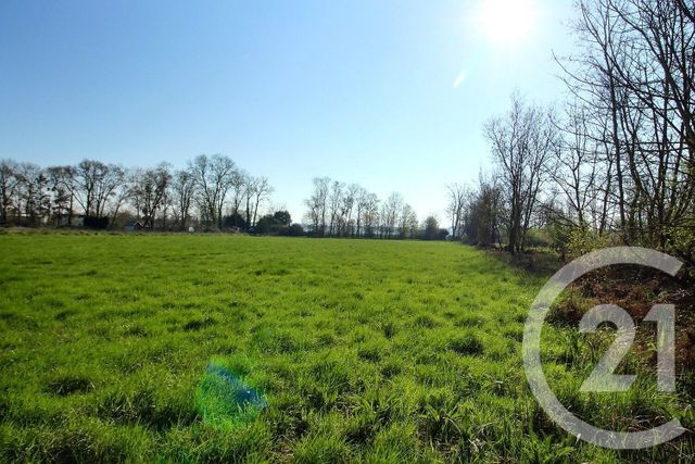 terrain à vendre - 6482.0 m2 - ST OUEN - 41 - CENTRE - Century 21 Girault Immobilier