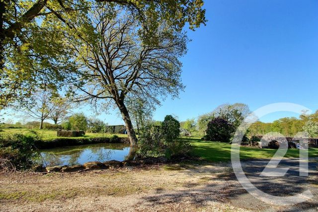 maison à vendre - 7 pièces - 183.0 m2 - ST LEONARD EN BEAUCE - 41 - CENTRE - Century 21 Girault Immobilier