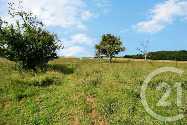 maison à vendre - 1 pièce - 33.0 m2 - OUCQUES LA NOUVELLE - 41 - CENTRE - Century 21 Girault Immobilier