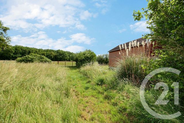 maison à vendre - 1 pièce - 33.0 m2 - OUCQUES LA NOUVELLE - 41 - CENTRE - Century 21 Girault Immobilier