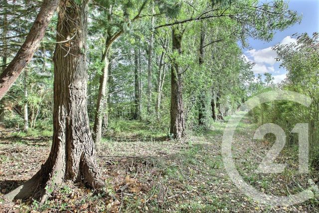 terrain à vendre - 2430.0 m2 - PEZOU - 41 - CENTRE - Century 21 Girault Immobilier