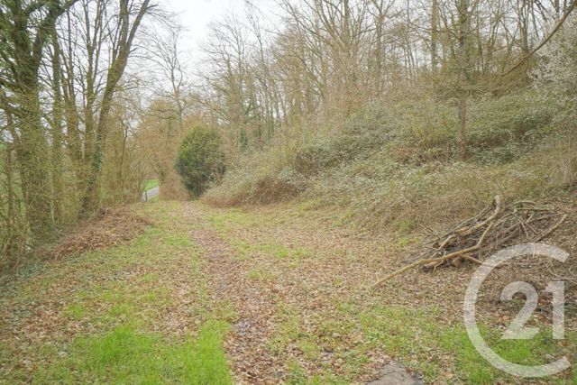 terrain - SAVIGNY SUR BRAYE - 41