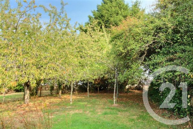 maison à vendre - 5 pièces - 125.09 m2 - BEAUCHENE - 41 - CENTRE - Century 21 Girault Immobilier