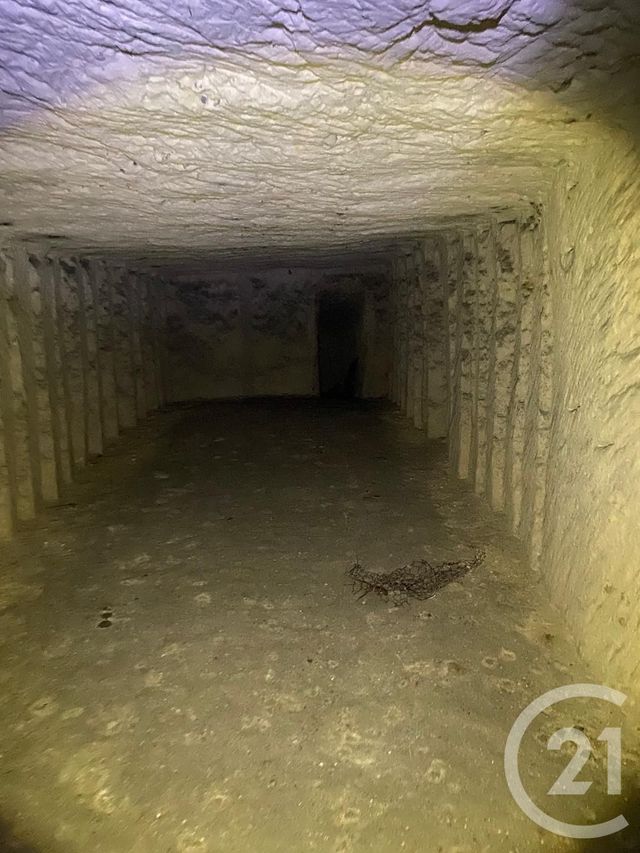 maison à vendre - 1 pièce - 595.0 m2 - VENDOME - 41 - CENTRE - Century 21 Girault Immobilier