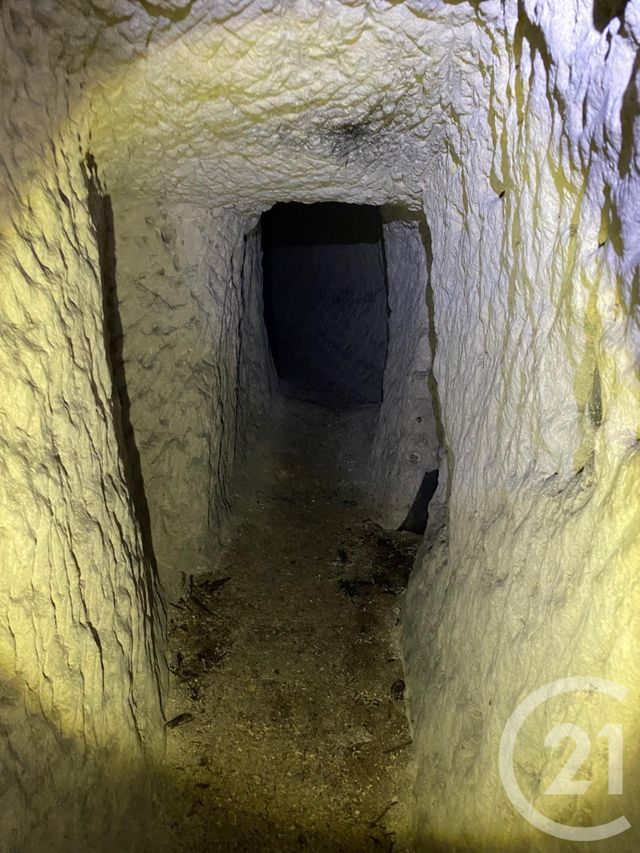 maison à vendre - 1 pièce - 595.0 m2 - VENDOME - 41 - CENTRE - Century 21 Girault Immobilier