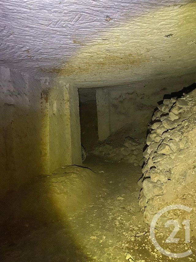 maison à vendre - 1 pièce - 595.0 m2 - VENDOME - 41 - CENTRE - Century 21 Girault Immobilier